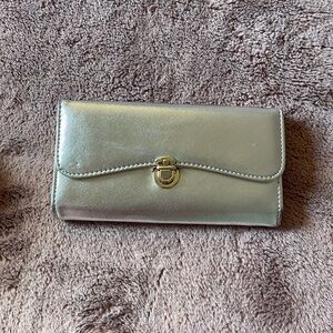 Elegant Silver Women's Clutch